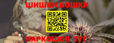 молекула духа Камень-на-Оби